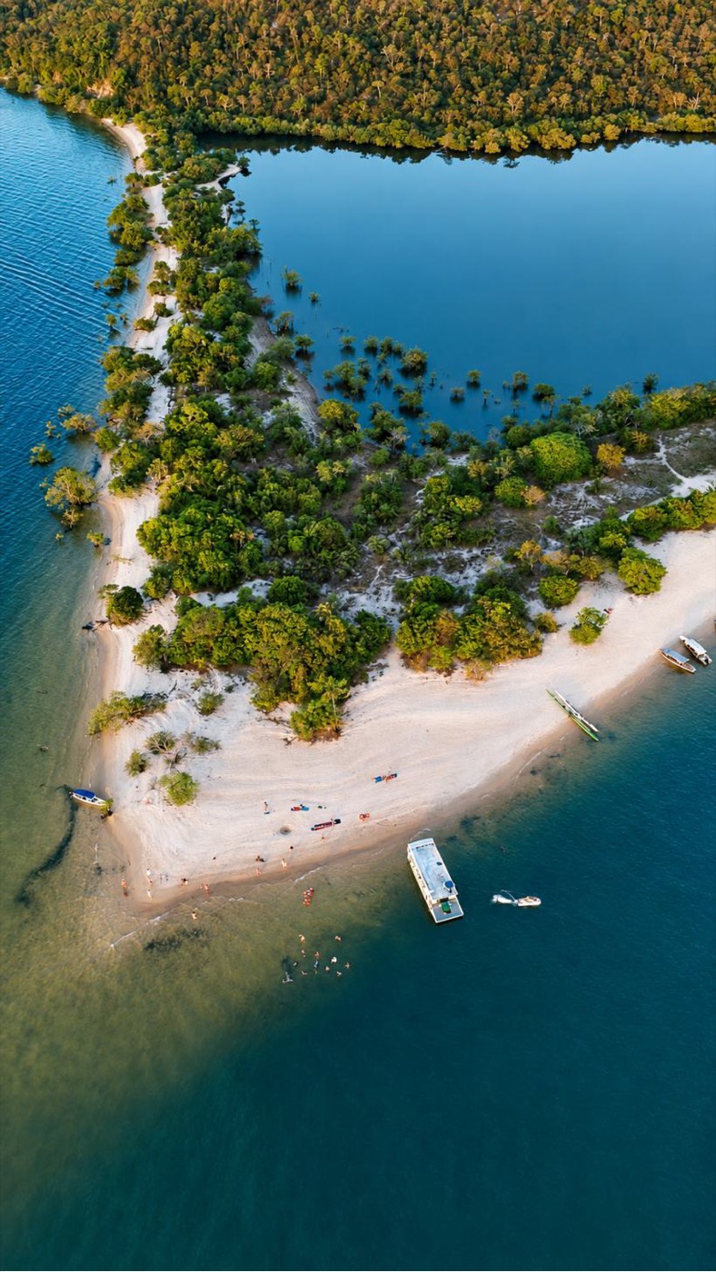 Vista aérea de uma praia de rio cercada de floresta
